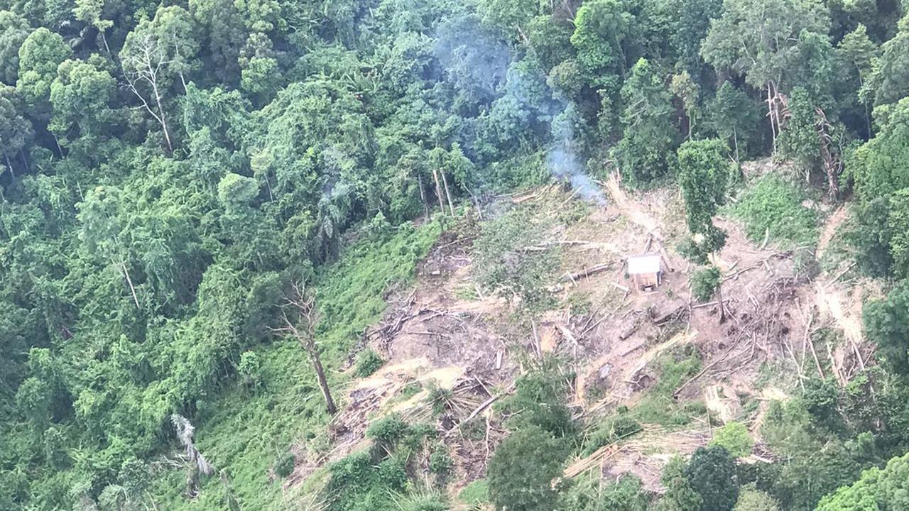 033203600_1765201530-Pembalakan